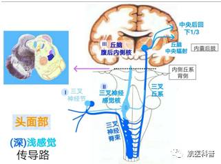 微信圖片_20191122101948.jpg